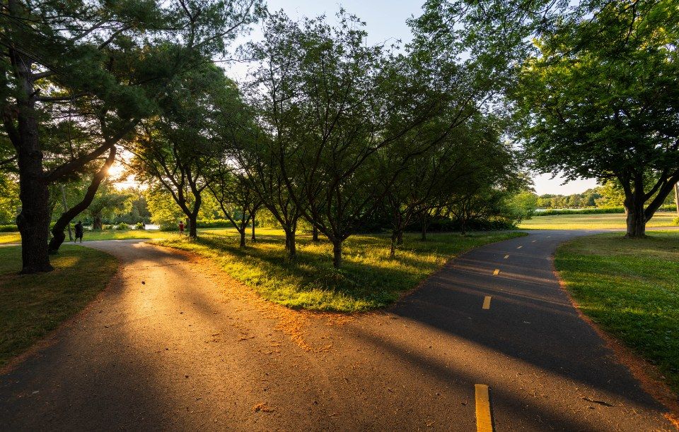 Ansiedade Tem Cura? Diferença entre Cura, Remissão e Controle