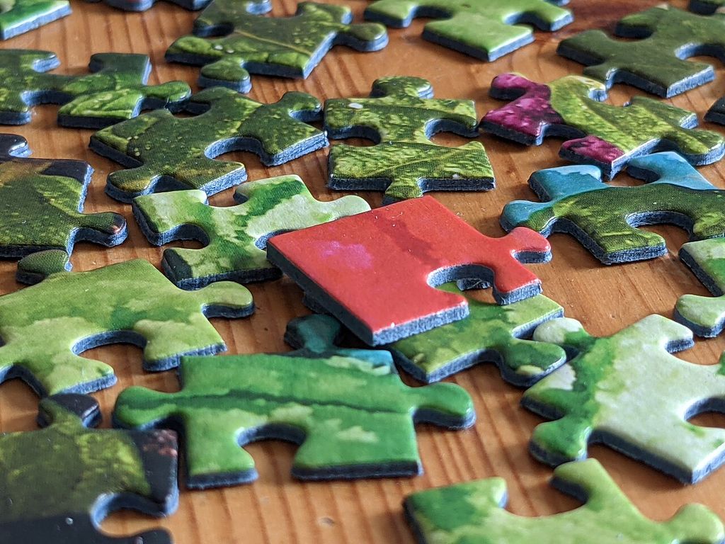 CIPTEA, a Carteira do Autista: o que É, Para que Serve e Como Pedir