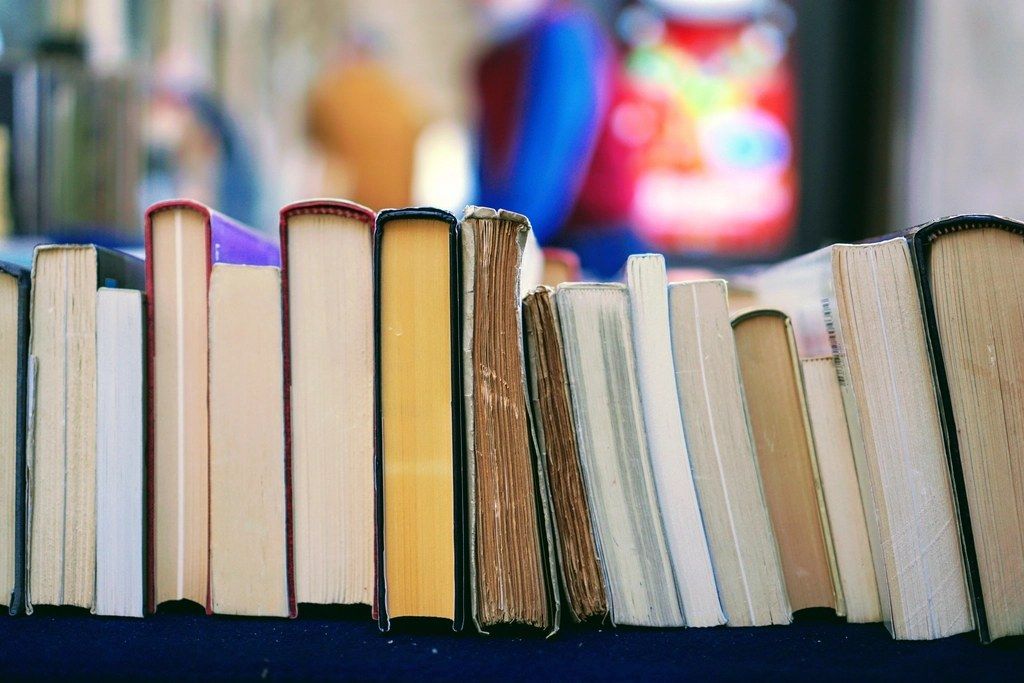 Deficiência Intelectual no Concurso: Laudo, Avaliação e Direitos