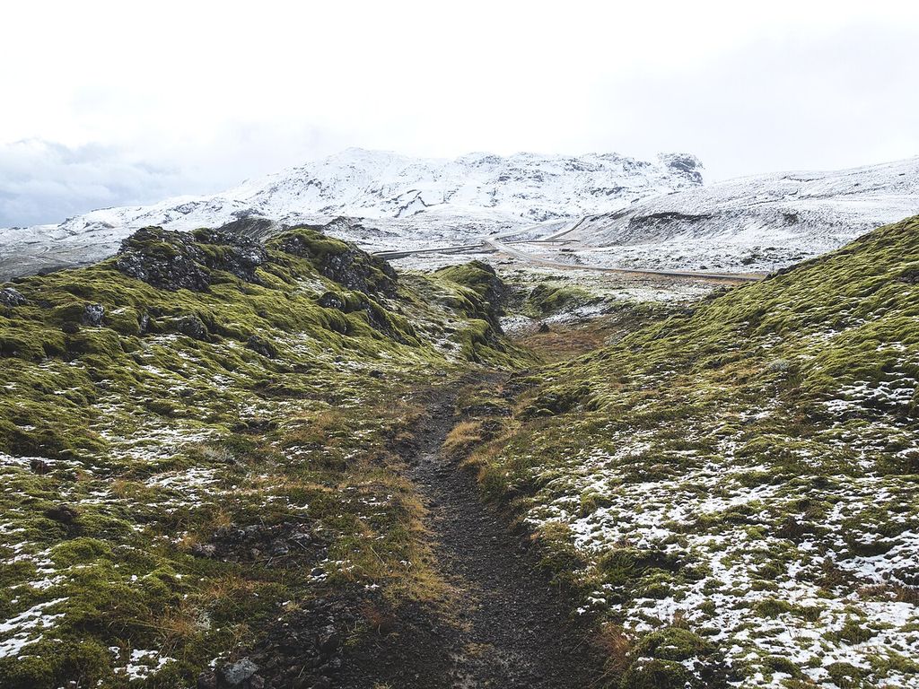 Exercício ao Ar Livre e Contato com a Natureza: Faz Diferença para a Saúde Mental?