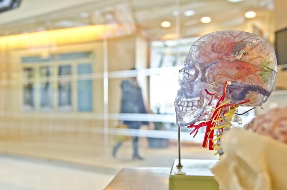 Tipos de Demência: Como Diferenciar Alzheimer, Vascular, Corpos de Lewy e Frontotemporal